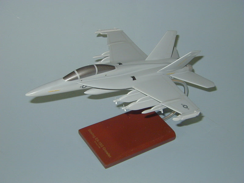 EA-18G Growler Airplane Model