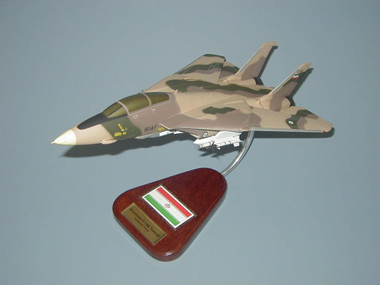 F-14 Tomcat / Iran Airplane Model