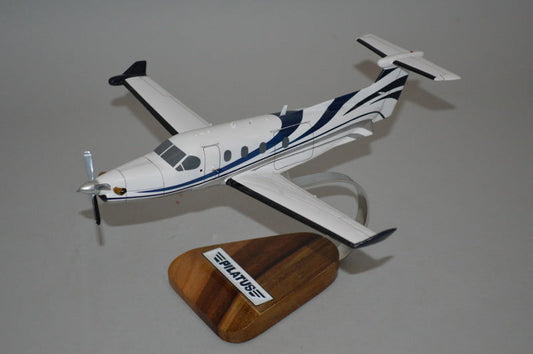 Pilatus PC-12 Airplane Model