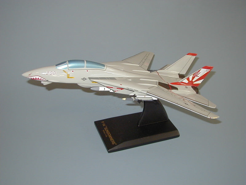 F-14 Tomcat / VF-111 Airplane Model