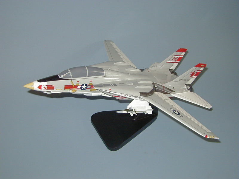 F-14 Tomcat / VF-1 Airplane Model