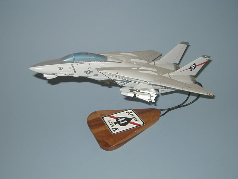 F-14 Tomcat / VF-41 Airplane Model