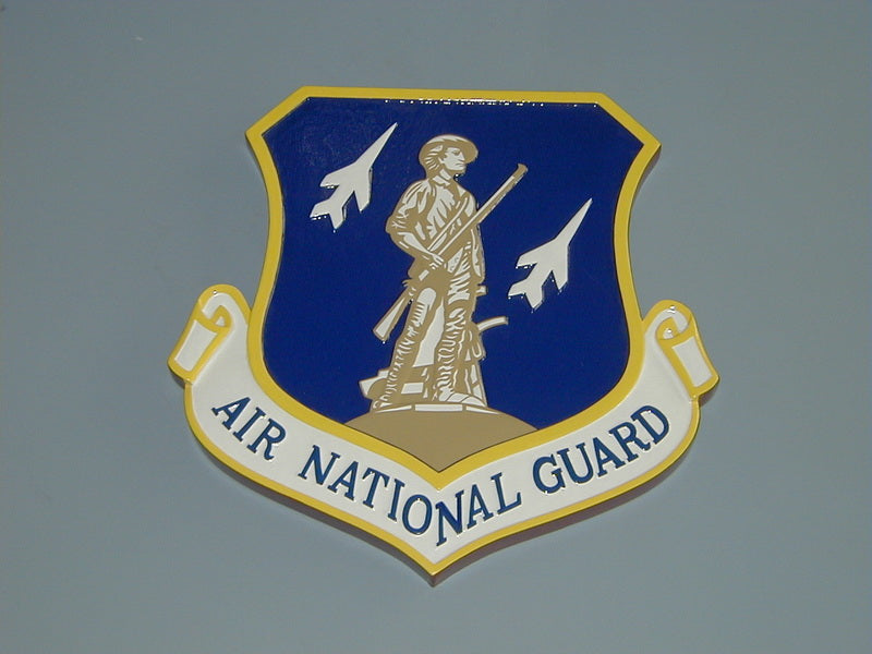 Air National Guard Airplane Model